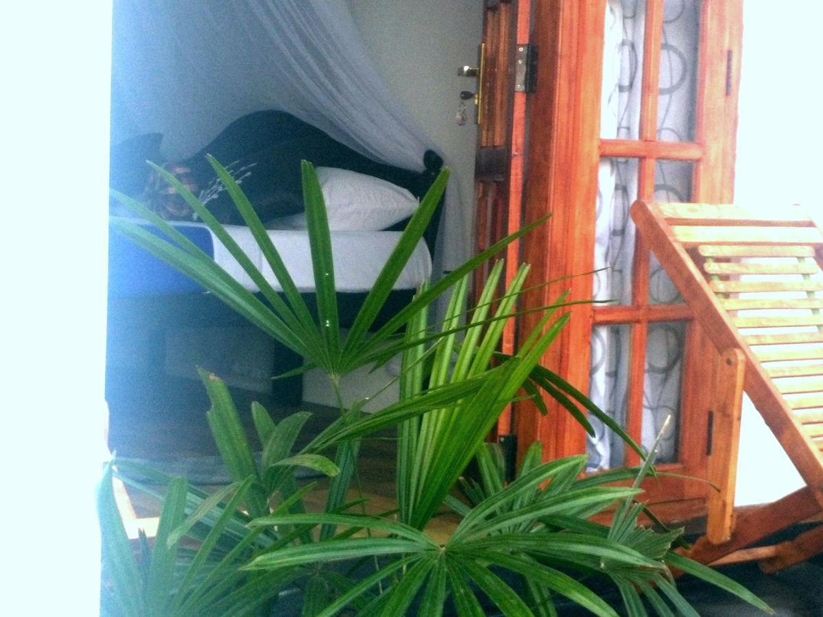 Zircon Ella Bed and Breakfast Εξωτερικό φωτογραφία